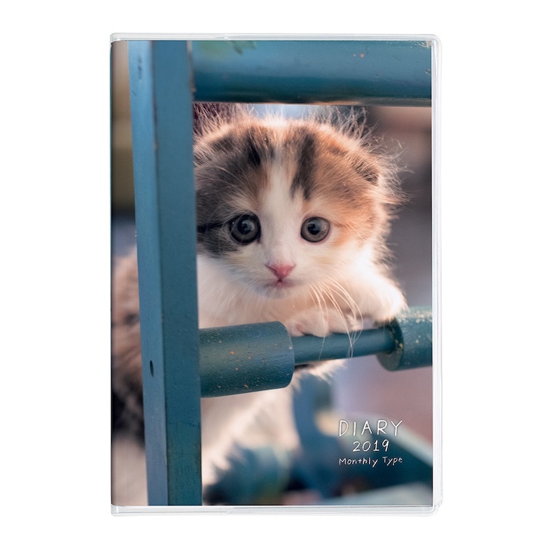 cat-2 写真を担当したねこ＆いぬノートダイアリーが発売されました