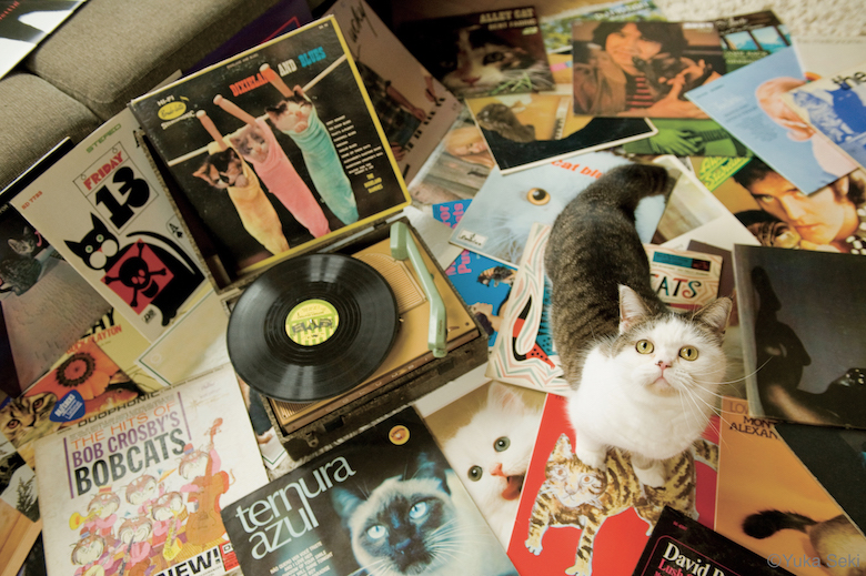 0322_1 初のベスト写真集『ねこうらら』刊行しました