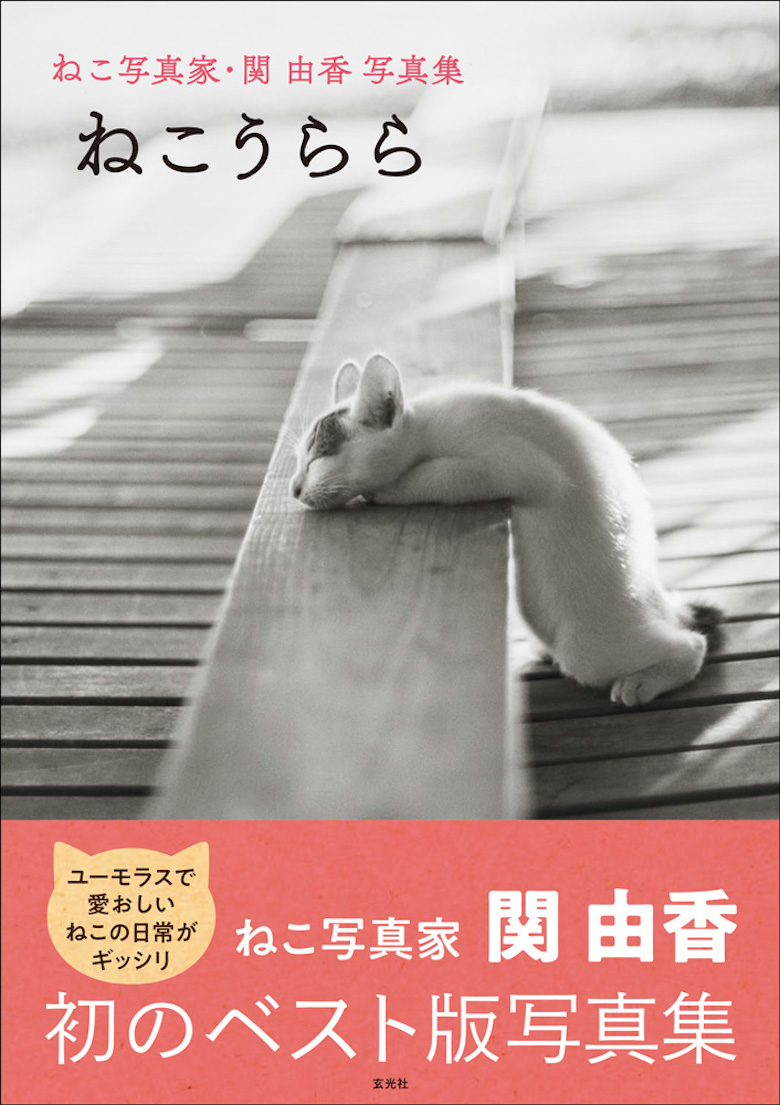 0322_jk 初のベスト写真集『ねこうらら』刊行しました