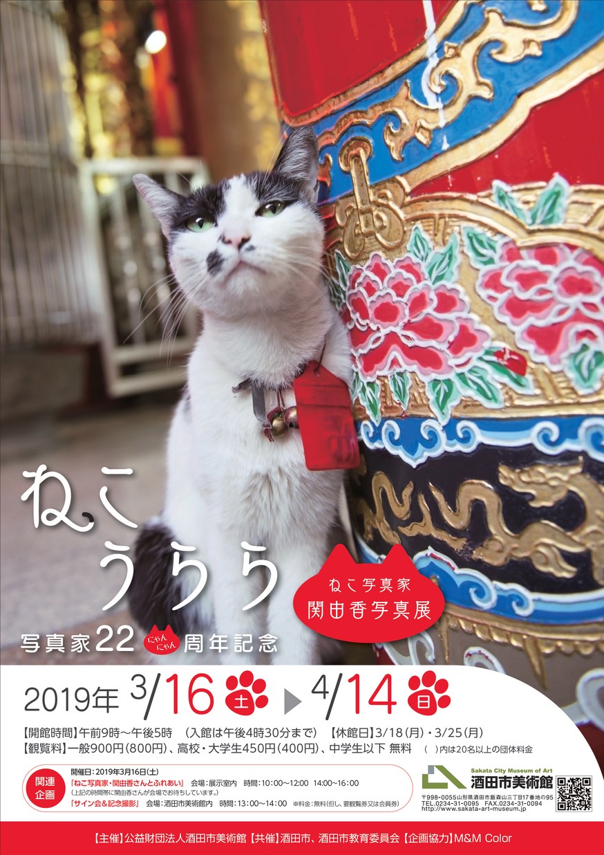 190316-1 酒田市美術館にて写真展がはじまりました