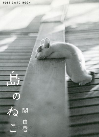 島のねこ ポストカード