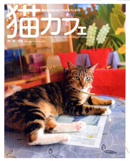 猫カフェ