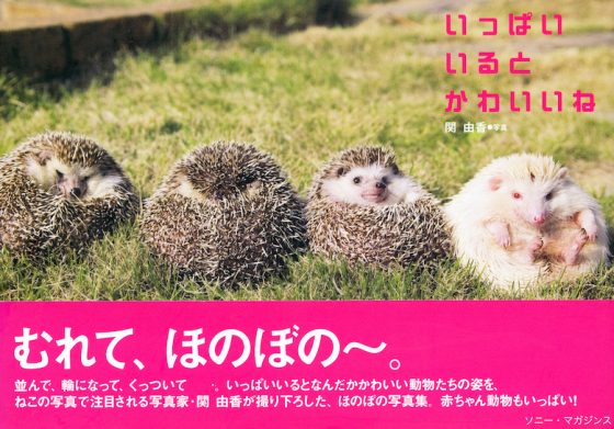 いっぱいいるとかわいいね