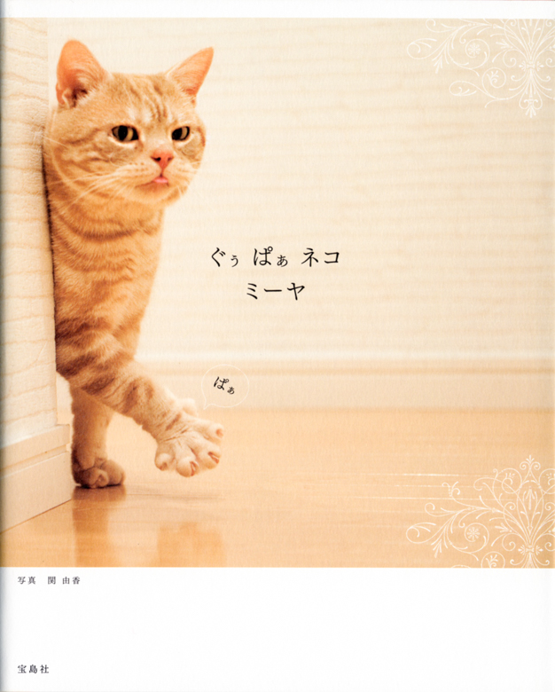 ぐぅぱぁネコ ミーヤ