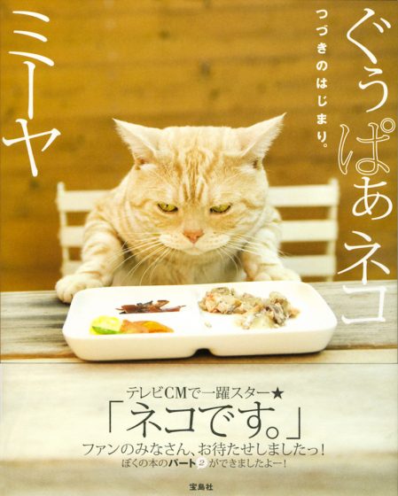 ぐぅぱぁネコ ミーヤ つづきのはじまり。