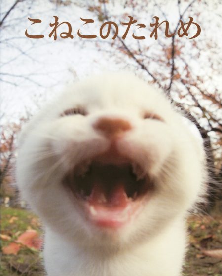 こねこのたれめ