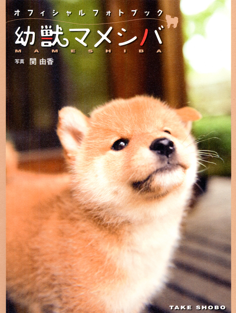幼獣マメシバ オフィシャルフォトブック | Seki Yuka - Official Site