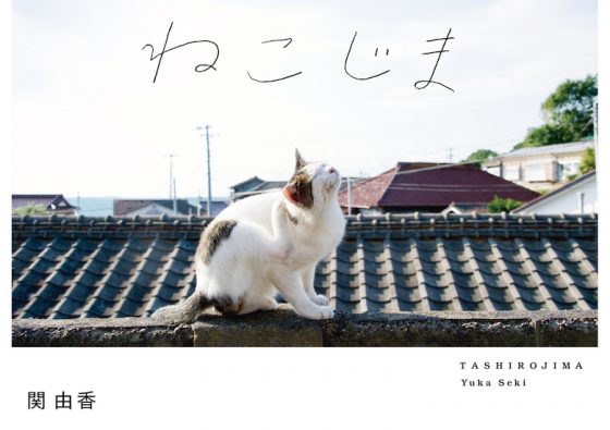 ねこじま TASHIROJIMA