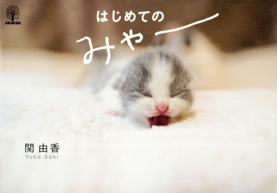 はじめてのみゃー