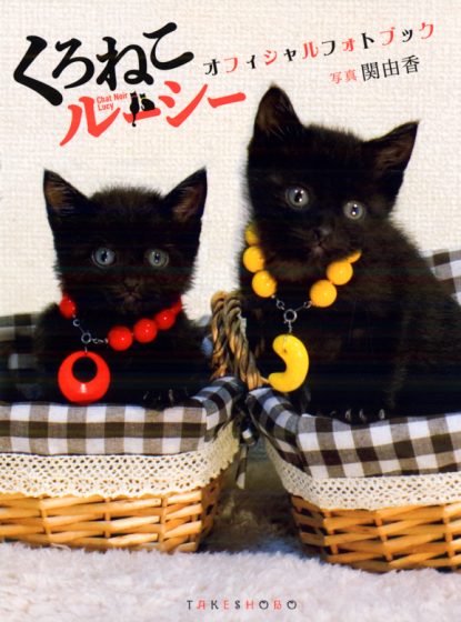 くろねこルーシー