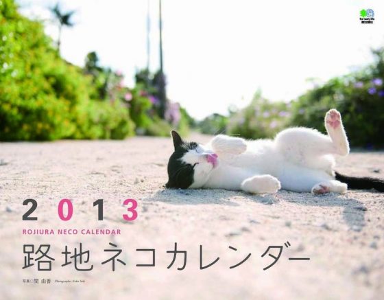 2013年 路地ネコカレンダー