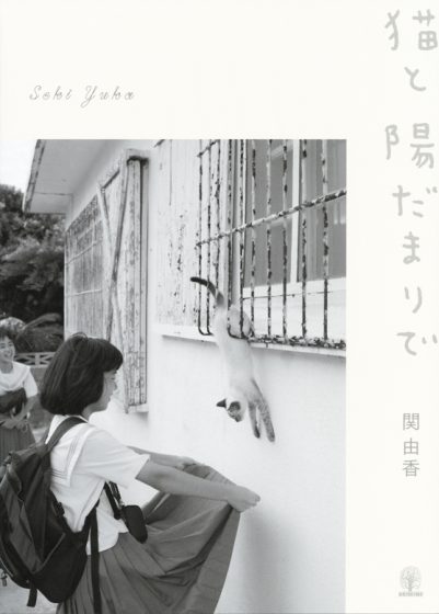 猫と陽だまりで