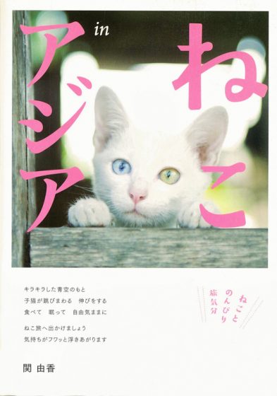 ねこinアジア