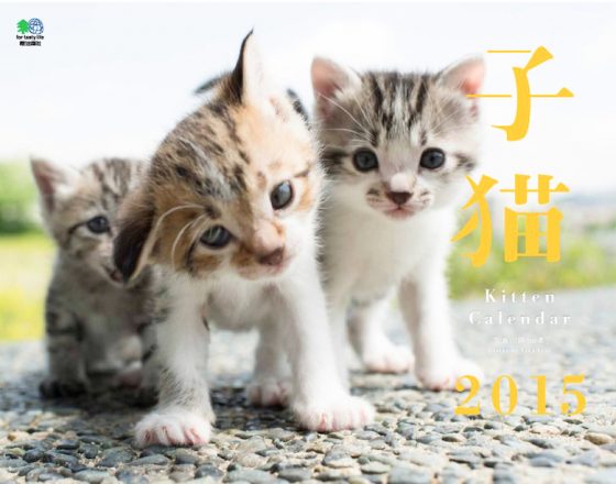2015年 子猫カレンダー
