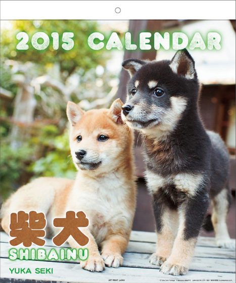 2015年 柴犬カレンダー