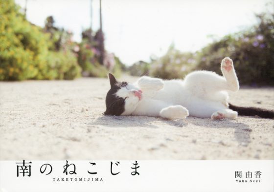 南のねこじま TAKETOMIJIMA