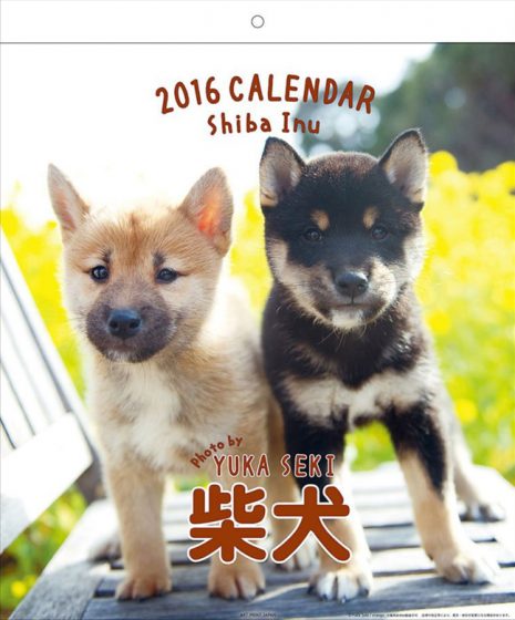 2016年 柴犬カレンダー