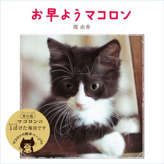お早うマコロン