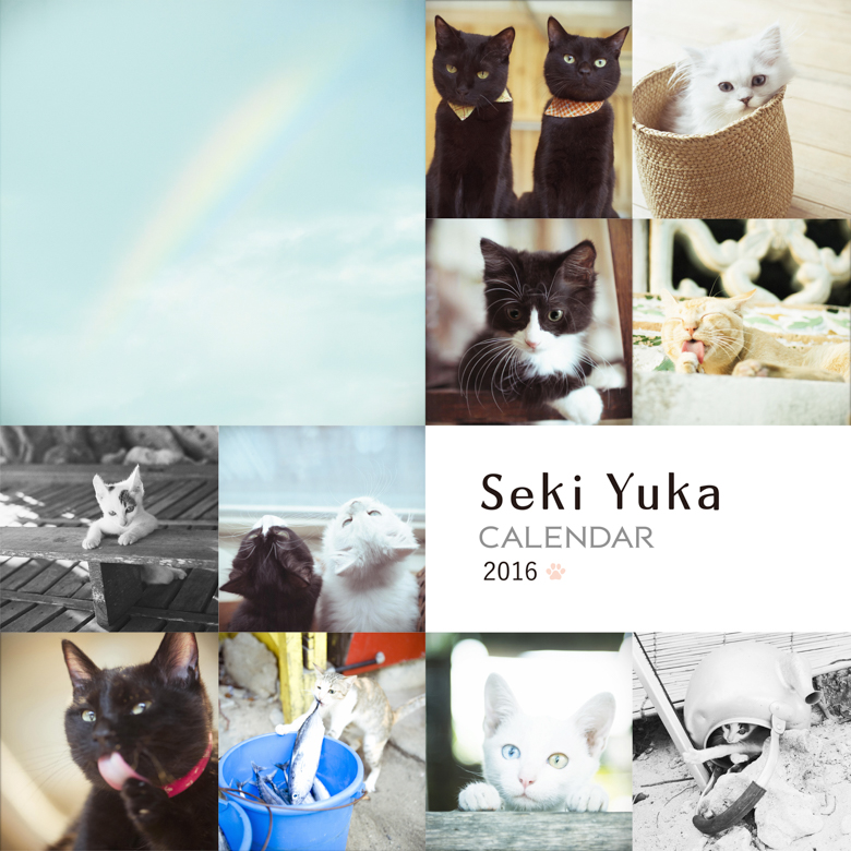 2016年 写真が選べる 関由香オリジナル猫カレンダー Seki Yuka