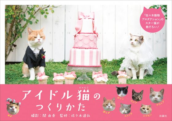 アイドル猫のつくりかた