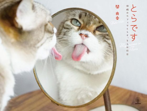 とらです 沖縄のカフェでくらす、とらの休日