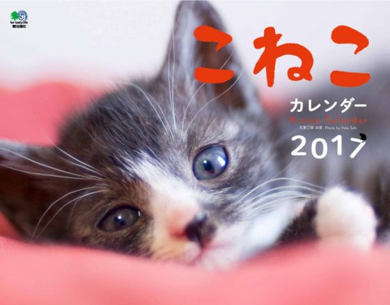 2017年 こねこカレンダー