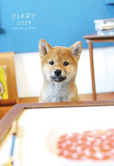 2019年 いぬ ノートダイアリー