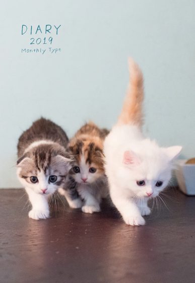 2019年 ねこ ノートダイアリー