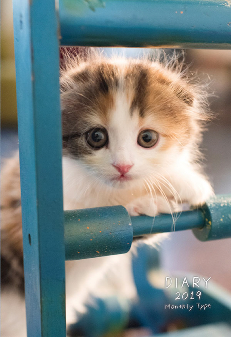 20180910_Notediary2019-A6-Neko2-2 PROFILE