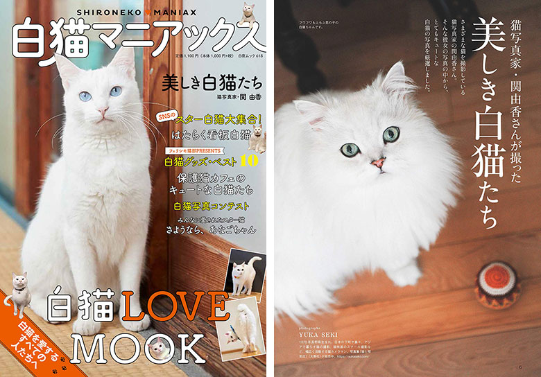 191223_shironeko_sub 巻頭グラビアを担当した『白猫マニアックス』が発売されました