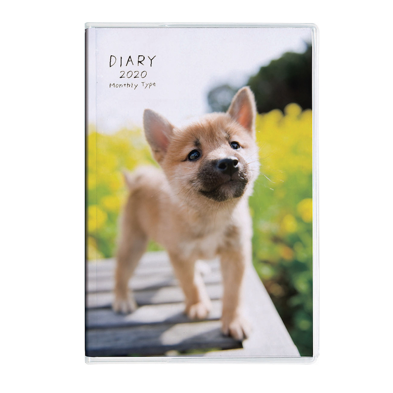 190821_inu2 写真を担当したねこ＆いぬダイアリーが発売されました