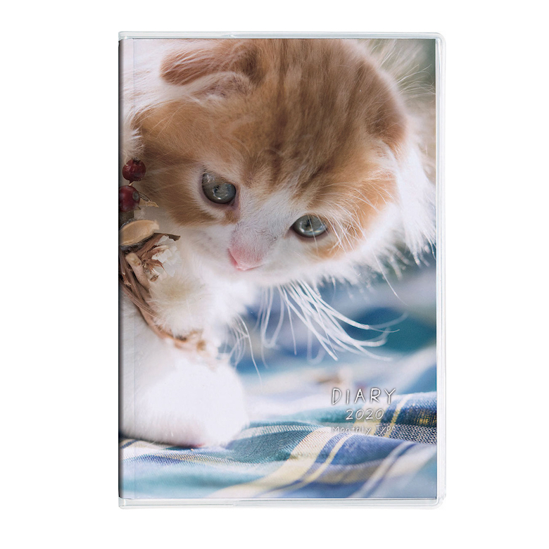 190821_neko1-2 写真を担当したねこ＆いぬダイアリーが発売されました