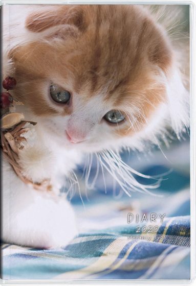 2020年 ねこ ノートダイアリー