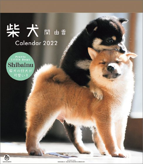 柴犬カレンダー 2022