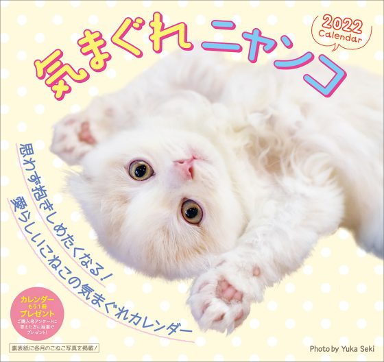 2022年 気まぐれにゃんこカレンダー