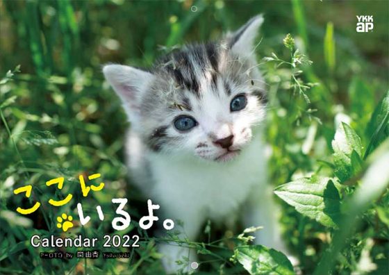 【非売品】ここにいるよ。2022 Calendar