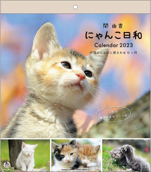 2023年 にゃんこ日和カレンダー