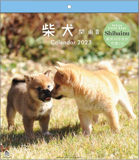 柴犬カレンダー 2023