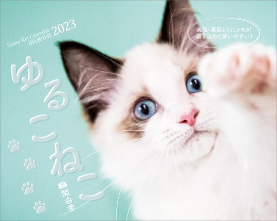 カレンダー2023 ゆるこねこ