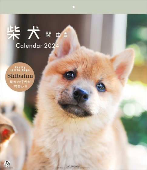 柴犬カレンダー 2024